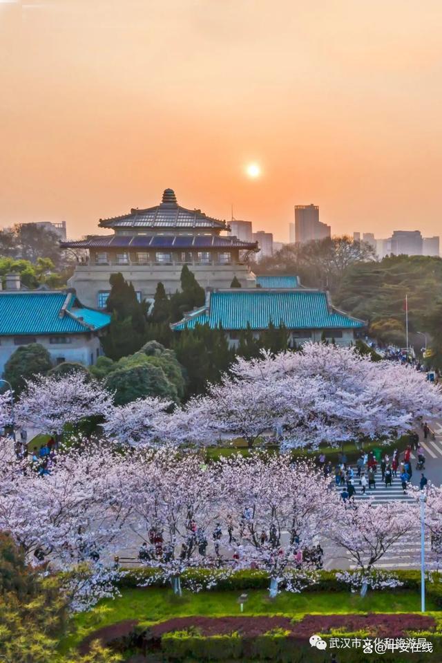 黄山——武汉！做个发展好搭子(图4)